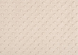 Minky beige